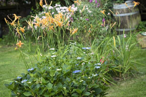 Schnabulirium: Garten von Felix