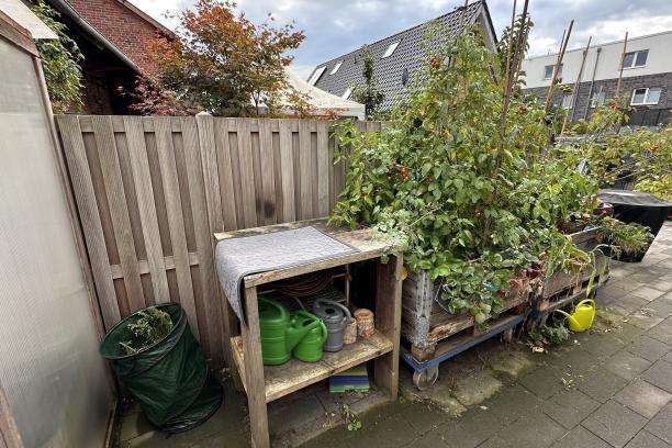 Hochbeete und jede Menge Unraut vor dem Umbau