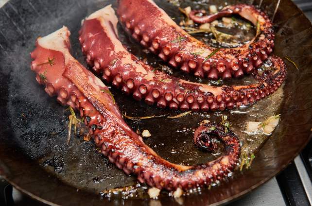 Pulpo