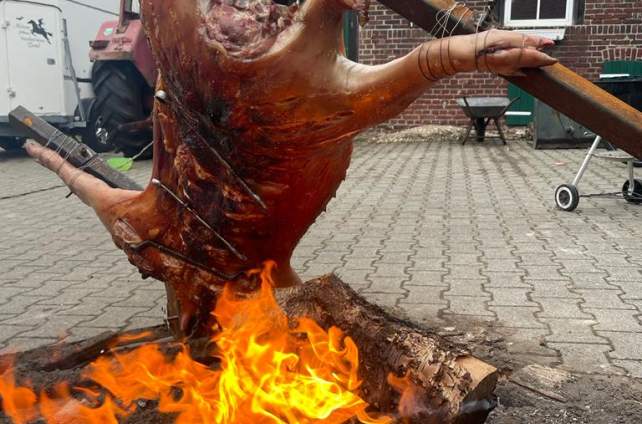 Schwein vom Asadokreuz